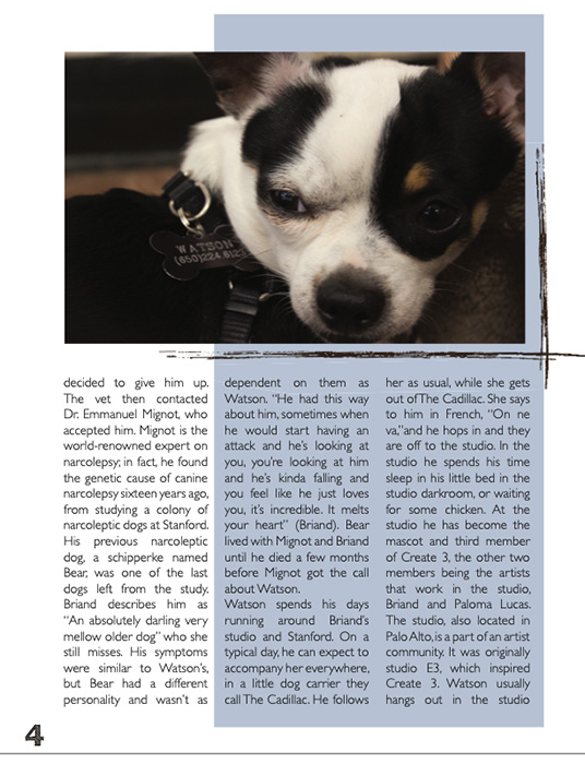 Article by Lara Darling